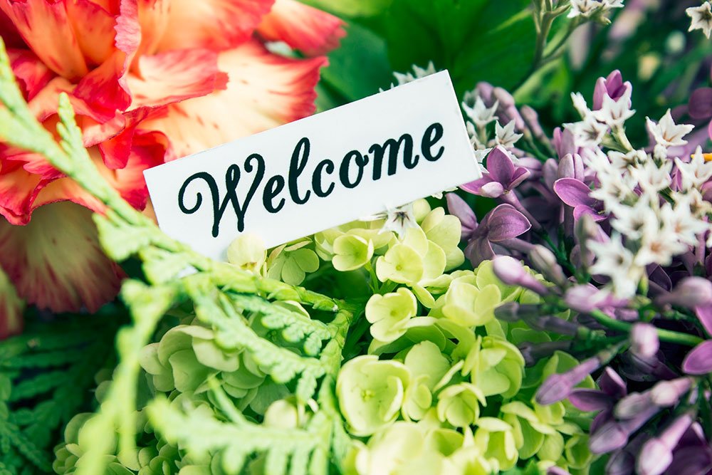 welcome-card-msq welcome-card-msq