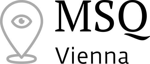 msq Logo transparent